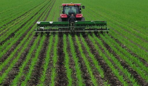 肥料養(yǎng)分診斷儀避免氮肥過(guò)度施加