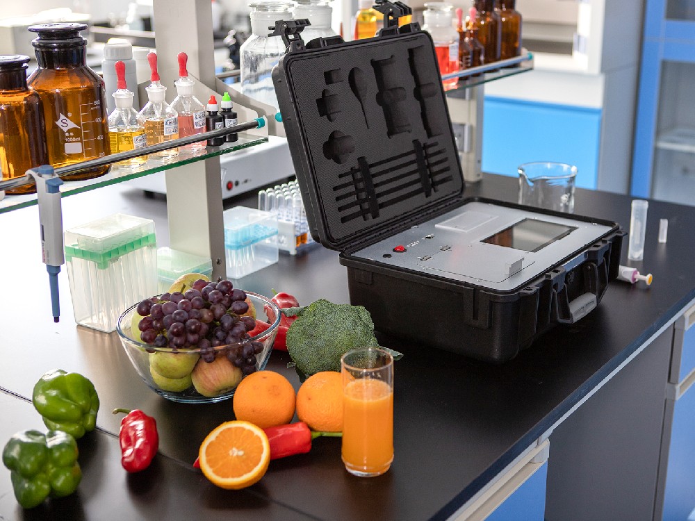 學(xué)生食堂用蔬菜農(nóng)藥殘留檢測儀器設(shè)備廠家推薦