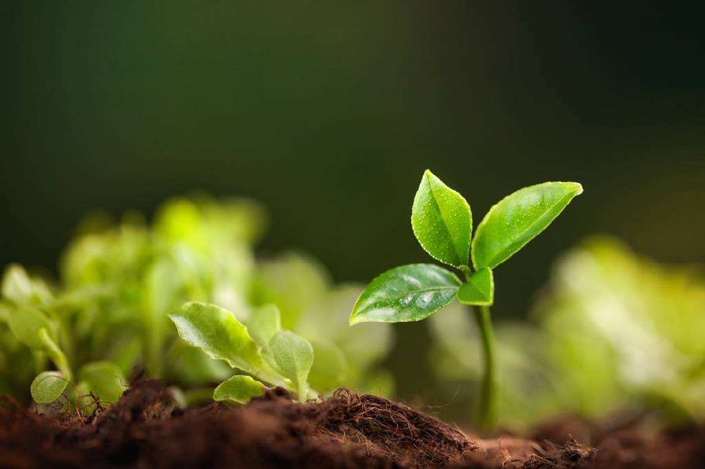 面對(duì)土壤污染問(wèn)題，土壤養(yǎng)分檢測(cè)儀告訴你應(yīng)采