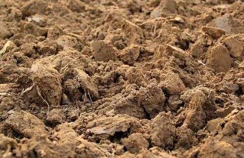 土壤污染的防治，重點監(jiān)管哪些單位