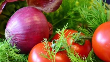 肥料養(yǎng)分檢測(cè)儀