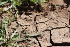 肥料養(yǎng)分檢測儀是如何“保生態(tài)”的？