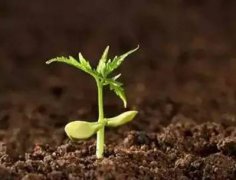 高智能土壤肥料養(yǎng)分速測儀有什么作用？