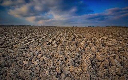 土壤重金屬檢測(cè)儀器 土壤重金屬檢測(cè)儀器