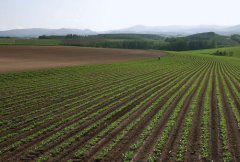 土壤肥料養(yǎng)分檢測(cè)儀的使用有什么意義？