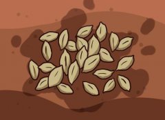 為什么測土施肥儀能夠獲得人們認(rèn)可？