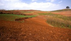 土壤肥料養(yǎng)分檢測儀有什么使用的優(yōu)勢？