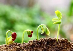 土壤肥力檢測(cè)儀有什么作用？