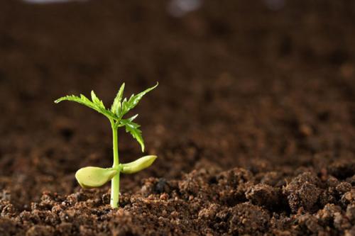 土壤養(yǎng)分檢測儀