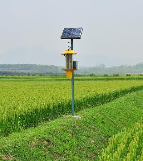 太陽(yáng)能殺蟲(chóng)燈