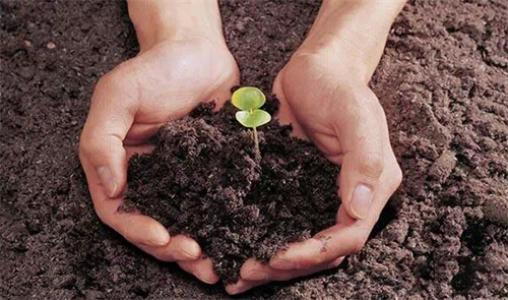 土壤養(yǎng)分檢測(cè)儀