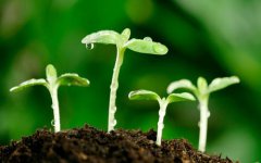 土壤養(yǎng)分檢測儀應用的意義