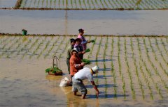 云南推進土壤污染防治，重金屬污染物排放量下