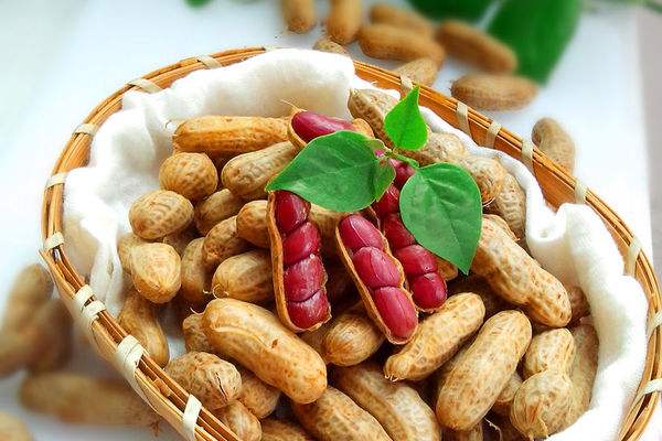 土壤養(yǎng)分檢測儀 土壤養(yǎng)分檢測儀