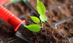 《土壤污染防治法》實施一年 各地扎實推進(jìn)相關(guān)