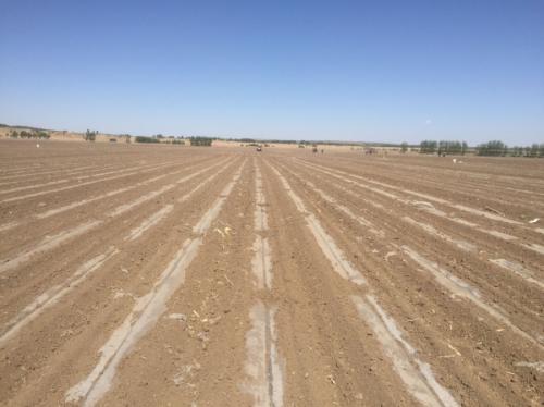 土壤墑情匱乏會(huì)威脅農(nóng)作物的生長(zhǎng) 土壤墑情匱乏會(huì)威脅農(nóng)作物的生長(zhǎng)