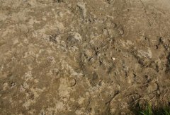 土壤養(yǎng)分檢測(cè)儀檢測(cè)出土壤肥力不足，土壤貧瘠