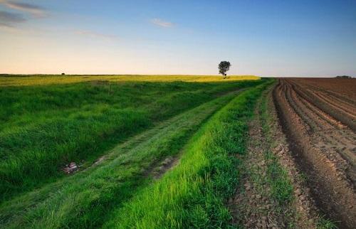 土壤污染防治工作如何開(kāi)展？