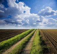 家里田地高產(chǎn)，土壤養(yǎng)分檢測儀教你辨別土壤好