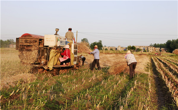 土壤養(yǎng)分速測(cè)儀
