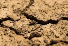 土壤重金屬檢測(cè)儀減少耕地污染！