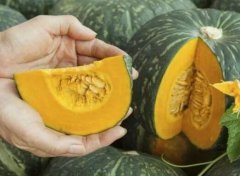 為什么建議農(nóng)戶配備土壤肥料養(yǎng)分檢測儀。