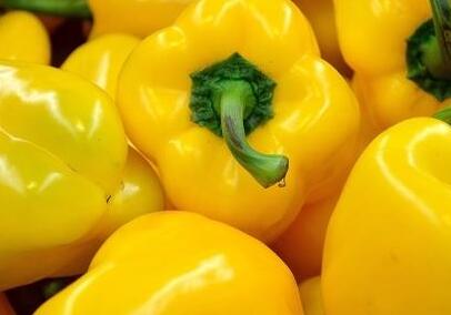 土壤氮磷鉀檢測(cè)儀