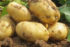 為何山東云唐測土配方施肥儀值得購買？