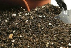 為什么農(nóng)業(yè)生產(chǎn)需要土壤重金屬速測(cè)儀？